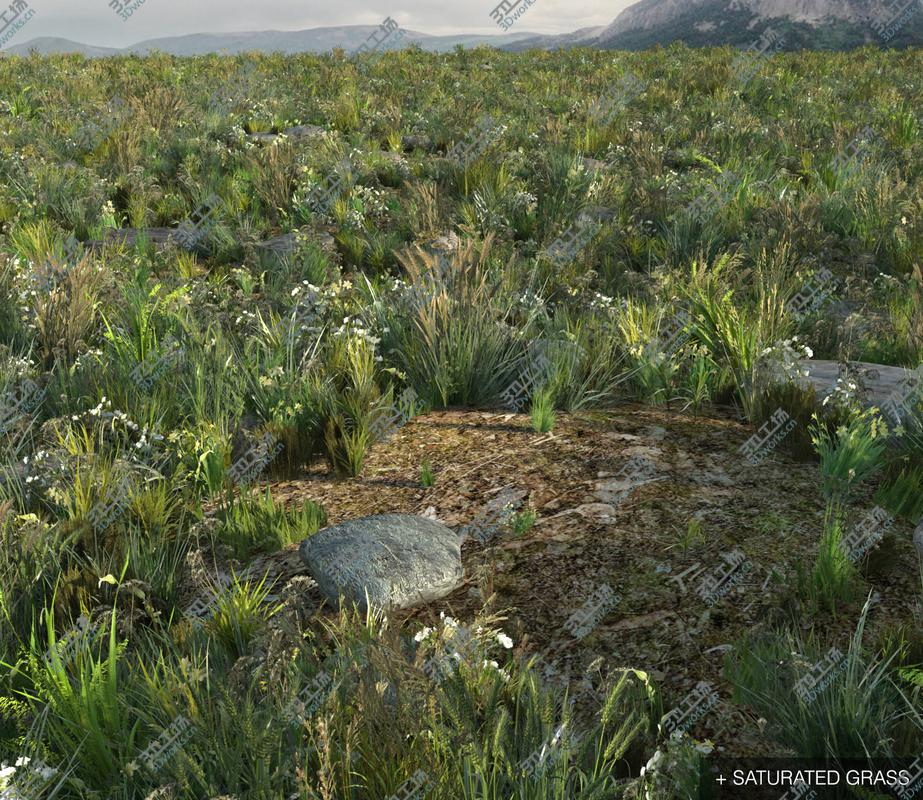 images/goods_img/20210313/Wild Grass Field (Real-time) 3D model/3.jpg
